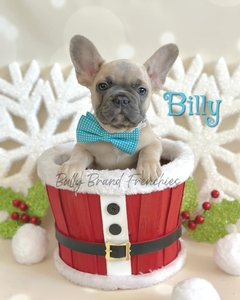 Billy