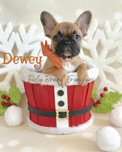 Dewey