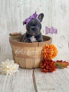 Delia