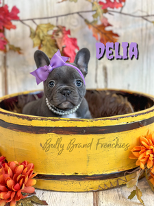 Delia