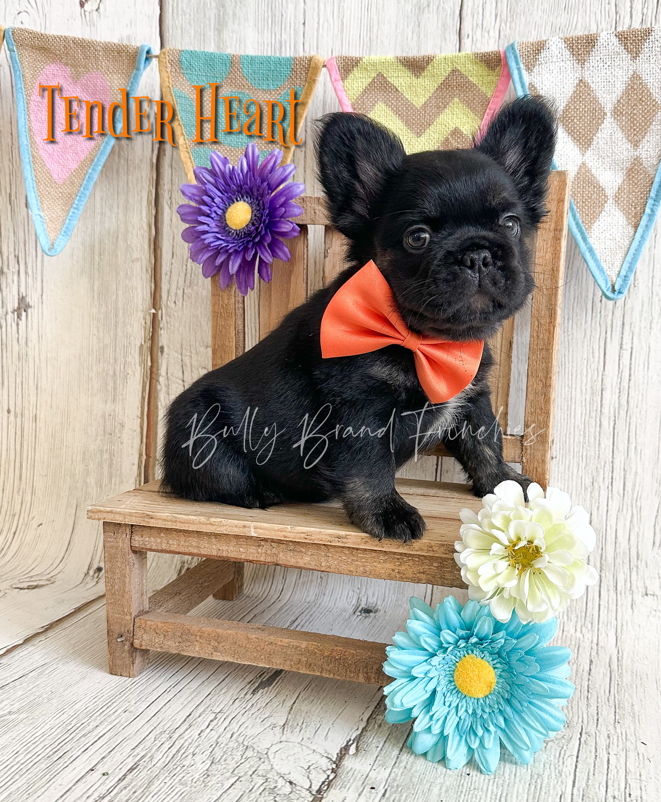 Tenderheart Bear 