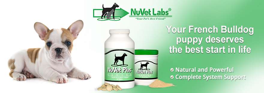 NuVet Lab Supplements Bully Brand Frenchies